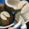 coconut